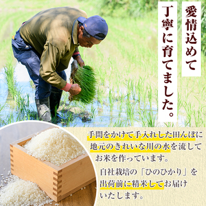 鹿児島県産のお米 ひのひかり(計10kg・5kg×2袋) 国産 白米 自社精米 ご飯 おこめ おにぎり お弁当 ひのひかり【谷口ファーム】akn064-08