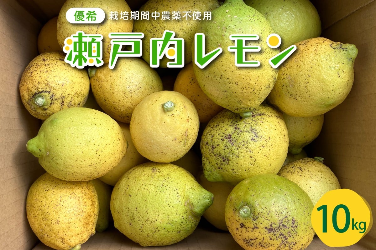 
            【2025年10月中旬～発送】大崎下島産 栽培期間中農薬不使用 瀬戸内レモン 10kg ku044-008-25
          