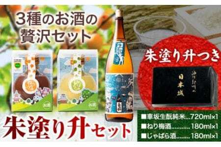 日本酒 朱塗り升セット 車坂酛生 純米 ねり梅酒 じゃばら酒 酒のねごろっく《90日以内に出荷予定(土日祝除く)》
