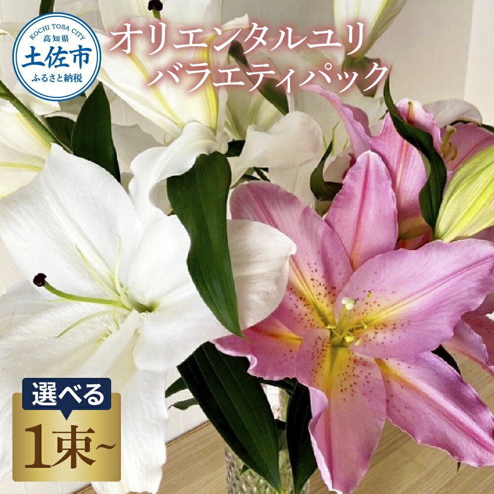 【ふるさと納税】オリエンタルユリ バラエティパック 選べる1~2束(1束3～4本 15輪以上) 花 はな 花束 生花 ゆり ユリ 百合 蕾 つぼみ 鑑賞 鑑賞用 白 大きく 咲く 大きい 詰め合わせ プレゼント 贈り物 国産 常温 配送 高知県 高知 土佐市 ふるさとのうぜい 故郷納税 返礼品