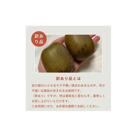 ＜10月下旬以降発送＞【ぽぽ農園】【訳あり・ご自宅用】レインボーレッドキウイ（四国中央市産レインボーレッド） Lサイズ 約2kg（17個～21個）