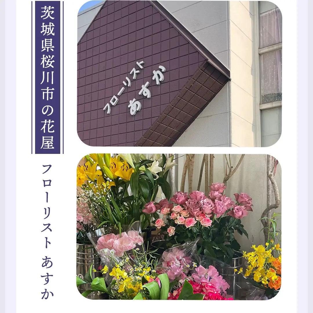 【配送日指定可】 季節の お供え用 アレンジメント フラワー 仏花 お盆 お供え お悔やみ 仏事 法事 命日 お盆 秋彼岸 春彼岸 正月 生花 フラワーアレンジメント [CY009sa]