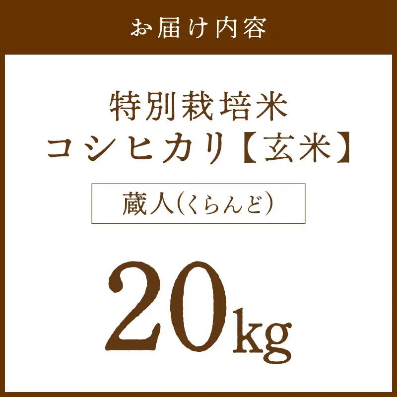 令和8年産 特別栽培米コシヒカリ 蔵人（くらんど） 玄米20kg 特別栽培米 コシヒカリ 蔵人 おこめ 京都産 ふるさと納税 玄米 ふるさと納税 コシヒカリ こしひかり