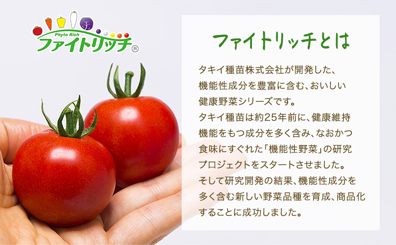 桜ファームの中玉トマト『フルティカ』1.5kg とまと おいし