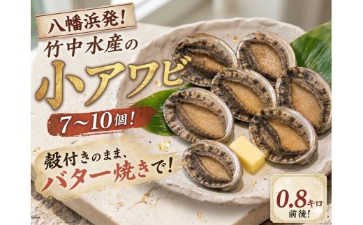 竹中水産の天然小アワビ、殻付きのままでバター焼き800g前後(7～10個目安)＜G22-247＞_鮑 あわび アワビ 活きあわび 魚介 魚介類 海鮮 天然 活き 鮮魚 小ぶり 食べやすい バター焼き 冷蔵  BBQ 殻付【1073904】 YWTM065