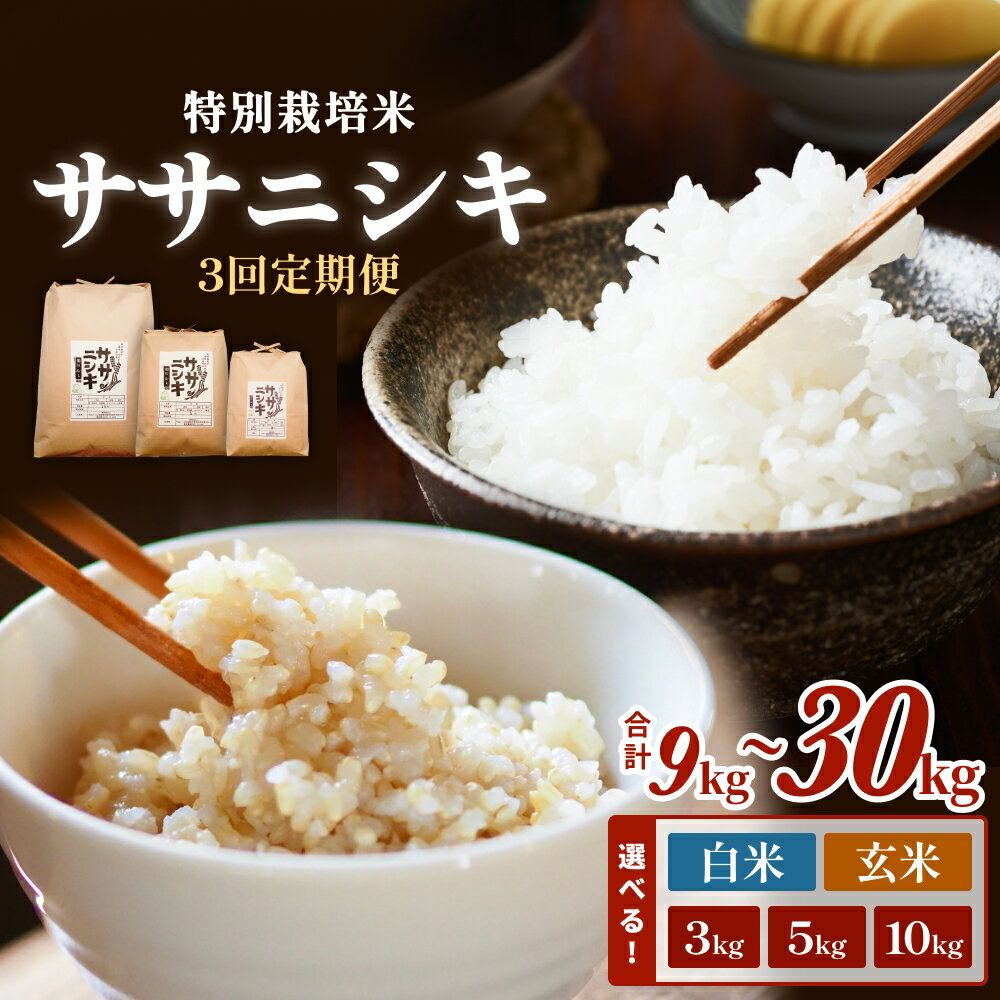 【ふるさと納税】 米 定期便 全3回 ササニシキ 特別栽培米 合計9kg〜30kg 小分け 3kg 5kg 10kg 選べる 白米 玄米 お米 精米 ささにしき 家庭用 栽培期間中 農薬不使用 化学肥料不使用 宮城 石巻 宮城県 石巻市