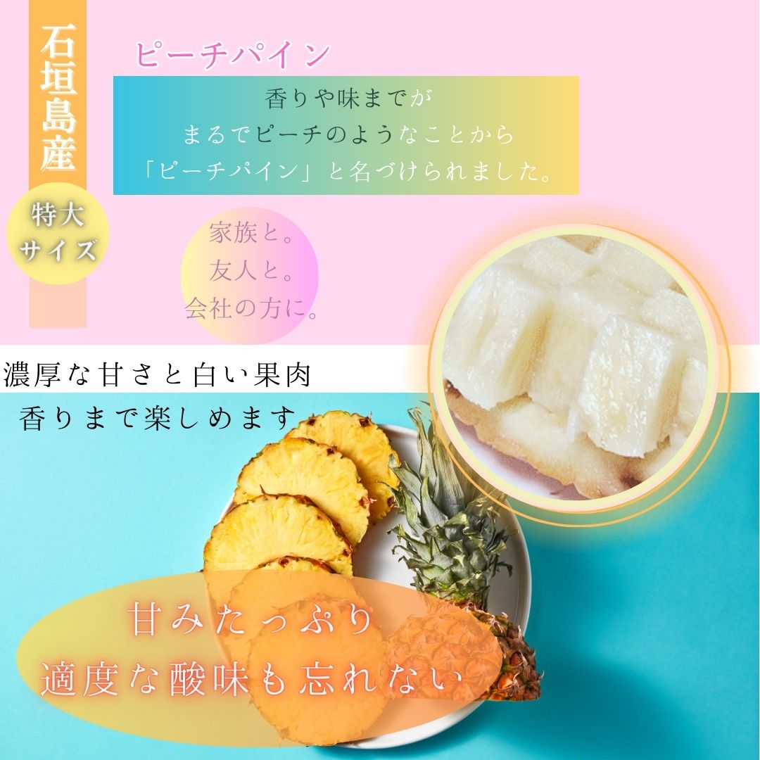 【先行予約】《2025年夏季 順次発送》石垣島産・大玉ピーチパイン ３玉 約3.0kg【 沖縄県石垣市 石垣島 フルーツ 果物 パイン 産地直送 】SI-37