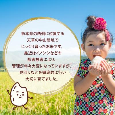 ふるさと納税 天草市 【先行受付】河浦町新合産 くまさんの輝き 精米 6kg(3kg×2)_S112-014A |  | 02