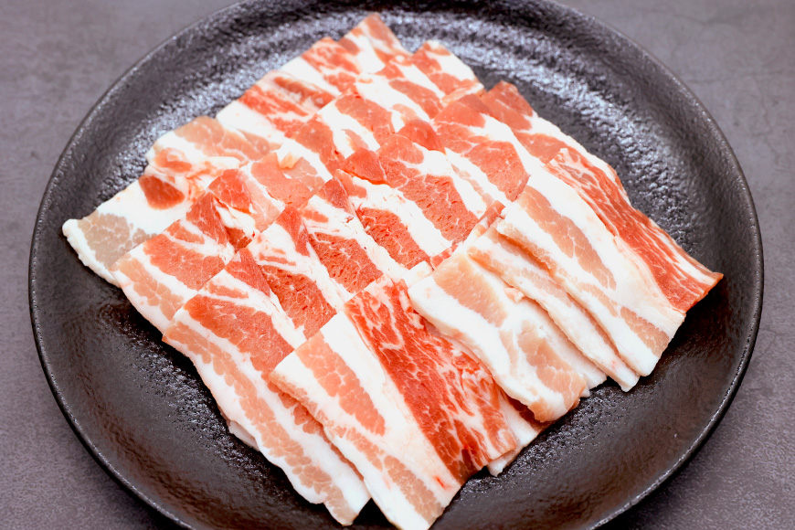 豚肉 4種 セット しゃぶしゃぶ ロース とんかつ バラ肉 こま切れ [日本ハムマーケティング 宮崎県 美郷町 31bd0029] 小分け 豚バラ 豚ばら 豚コマ 豚こま肉 豚コマ肉 コマ肉 こま肉 