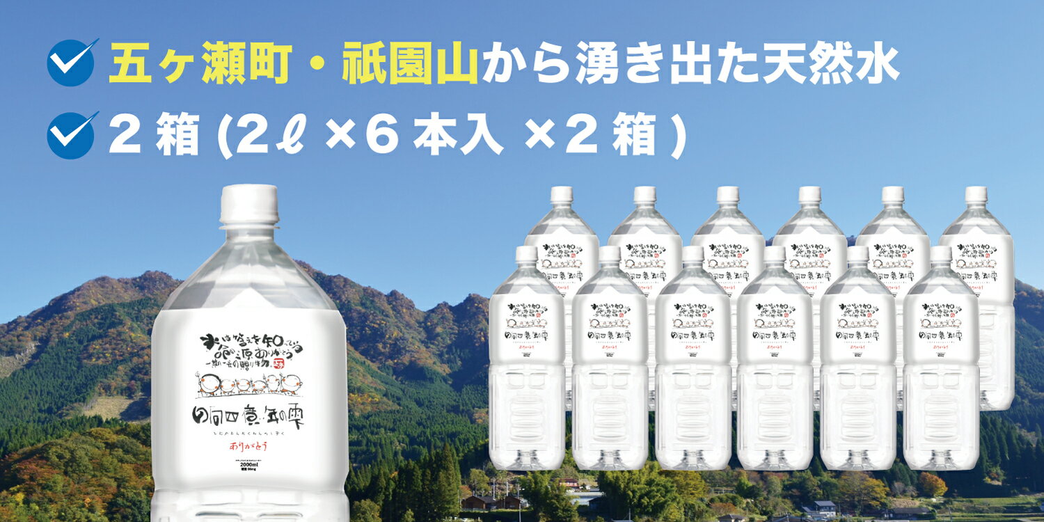 【ふるさと納税】日向四億年の雫 素粒子機能水（ 2リットル × 6本入 × 2箱 ） | 水 天然水 ローリングストック 備蓄 ペットボトル ミネラル 宮崎県 五ヶ瀬町 祇園 山