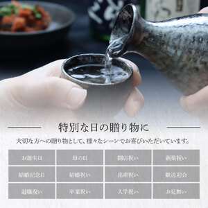 美潮 純米吟醸2本セット ふるさと納税限定 720ml 飲み比べセット 