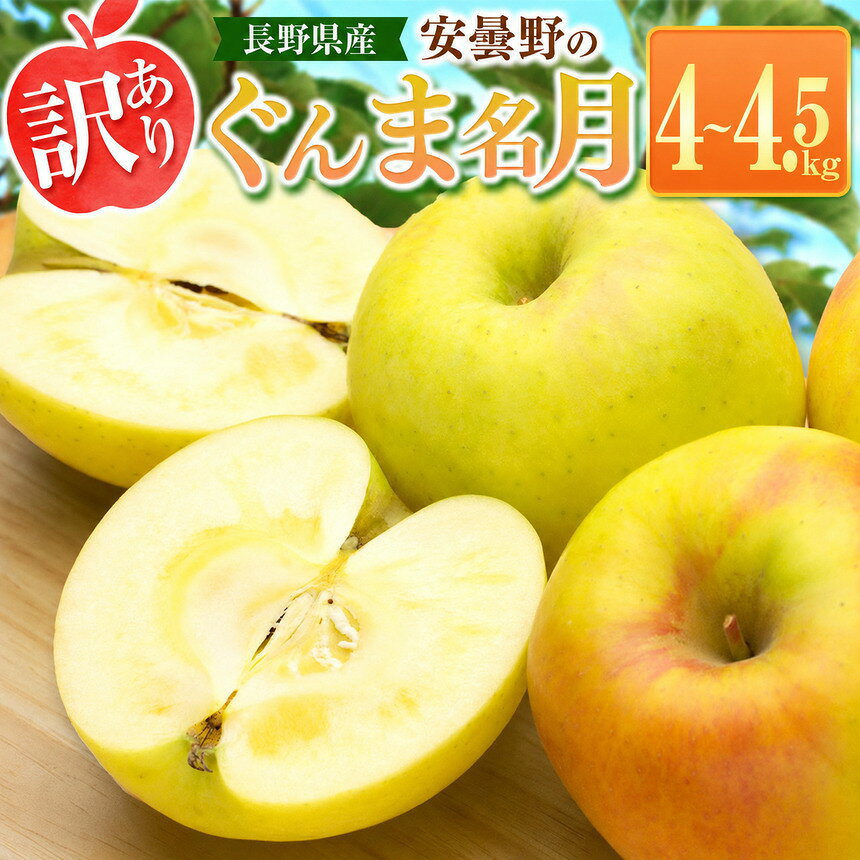 【ふるさと納税】【2026年先行予約】訳あり ぐんま名月 4~4.5kg ｜ 東印平林農園 エコファーマー認定 リンゴ りんご 林檎 果物 フルーツ 果実 ぐんまめいげつ 家庭用 わけあり 訳アリ 長野県 松川村