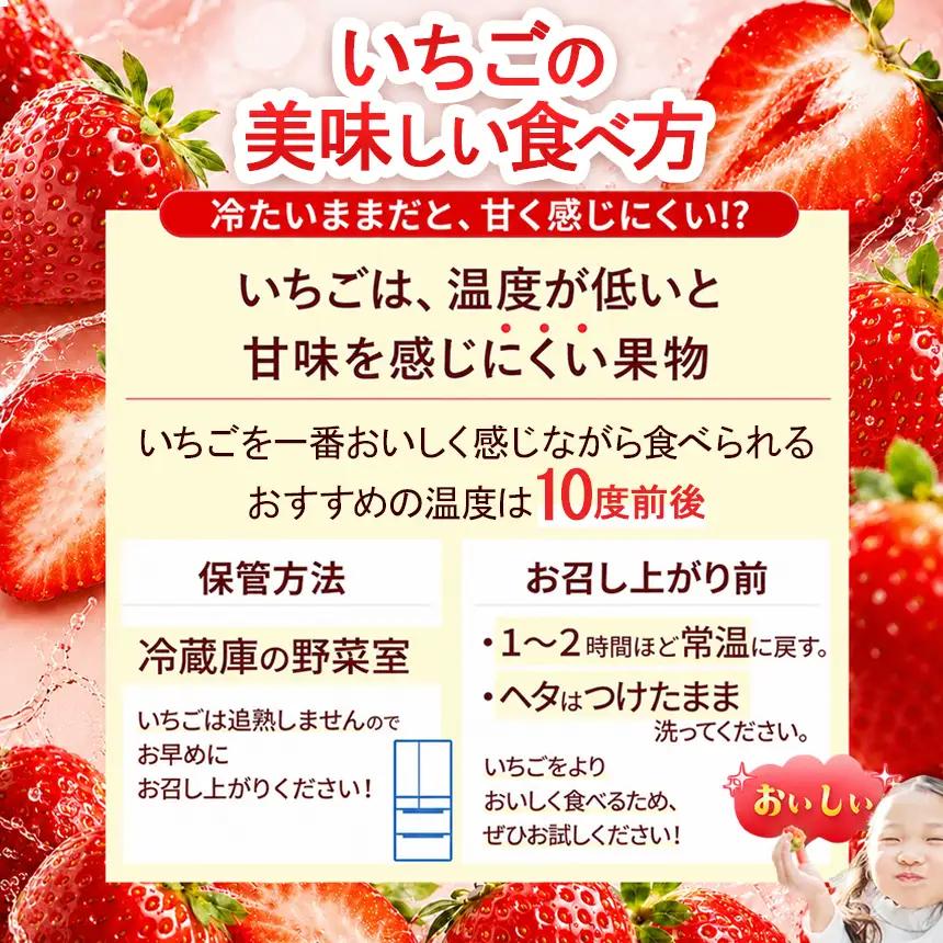 【先行予約】大分県ブランド いちご ベリーツ 約 800g ( 200g×4パック ) | 苺 イチゴ いちご ベリー フルーツ 果物 くだもの 大分県産 産地直送 九州産 国産 大分県 中津市