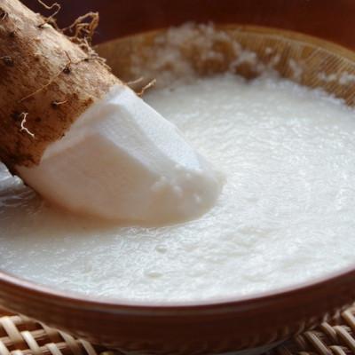 ふるさと納税 北栄町 砂丘長いも　長芋　5kg |  | 01