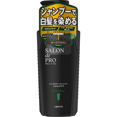 ふるさと納税 稲沢市 ダリヤ　サロン ド プロ　メンズカラーシャンプー　スカルプケア《ダークブラウン》3個セット |  | 01