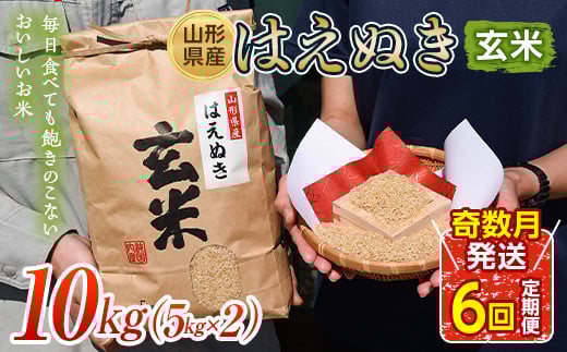 【奇数月発送 6回定期便】山形県産 はえぬき 玄米 《10kg（5kg×2袋）×6回》 FSY-0656