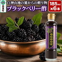 【ふるさと納税】＜お歳暮・冬ギフト＞ブラックベリー酢 計6本 （185ml×3本）2セット