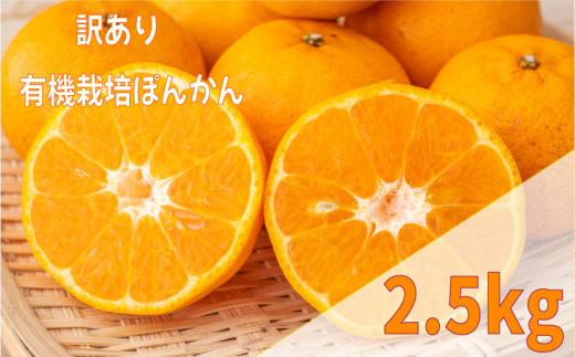 【早期予約 2025年2月上旬より順次発送】 訳あり ぽんかん 2.5kg サイズ混合 オーガニック 無農薬 防腐剤 不使用 有機 JAS認定 柑橘 みかん 蜜柑 家庭用 TJ0011