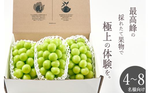 甲州市産 大粒シャインマスカット3房入り 約2kg 自然農法【2026年発送】（BNC）F-101【シャインマスカット 葡萄 ぶどう ブドウ 令和8年発送 期間限定 山梨県産 甲州市 フルーツ 果物】