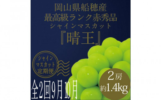 [HS]【定期便 全2回】ぶどう 2025年 先行予約 9月・10月発送 最高級品シャイン マスカット 晴王 2房 〈合計約1.4kg〉 ブドウ 葡萄  岡山県産船穂産 フルーツ 果物 ギフト