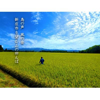ふるさと納税 新庄市 【毎月定期便】米の匠みのりガーデン/金賞受賞農家の【特上 雪若丸】5kg全12回 |  | 02