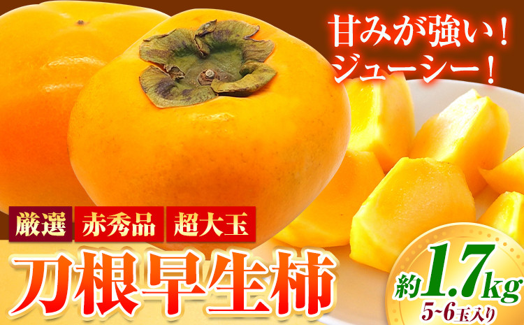 
                  赤秀品 超大玉 刀根早生柿 約 1.7kg 6玉 道の駅 くしがきの里《2026年9月末-10月末頃出荷》 和歌山県 日高町 果物 フルーツ 柿 かき 早生柿 旬 st-p
                