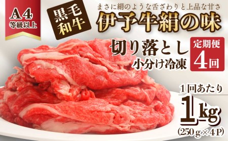 4回定期便 伊予牛絹の味 牛切り落とし 1㎏×4回 (冷凍)  小分け｜ 黒毛和牛 肉定期便 牛肉 定期便 牛肉定期便 A4以上牛肉 定期便 伊予牛 肉定期便 牛肉定期便