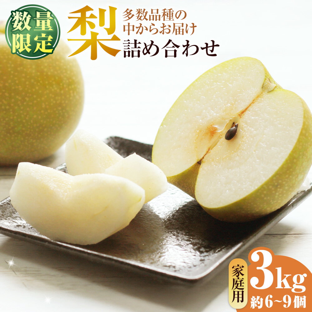 【ふるさと納税】【ご家庭用】九重町産梨 詰め合わせ 約3kg（約6～9個） 梨 なし ナシ フルーツ くだもの 果物 果実 デザート 旬 香麗 なつしずく 愛甘水 幸水 ほしあかり なるみ 秋麗 冷蔵 国産 大分県産 九重町 送料無料 【2026年8月上旬～10月下旬まで順次発送予定】