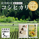 【ふるさと納税】【令和6年産の新米！】福井県産 おしどり米 内農米コシヒカリ 5kg＋黒米300g ［C-00505］/内農米 10kg /定期便 3ヶ月/6ヶ月 5kg10kg / 無洗米 5kg/ こしひかり 有機栽培 白米 新米 精米 ご飯 コメ ごはん ライス 産地直送 鯖江市