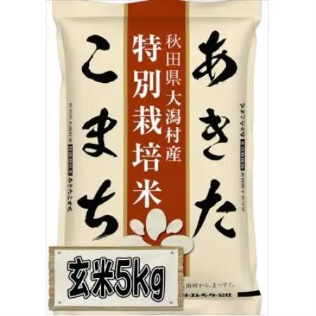 【毎月定期便】あきたこまち特別栽培玄米5kg全6回【配送不可地域：離島・沖縄県】【4094264】