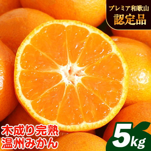 【ふるさと納税】【先行予約】濃厚完熟 木成り温州 みかん 約 5kg ミックスサイズ 和歌山県産 まるまつ農園《2025年12月上旬-2026年1月末頃出荷》 和歌山県 日高川町 温州みかん みかん 完熟