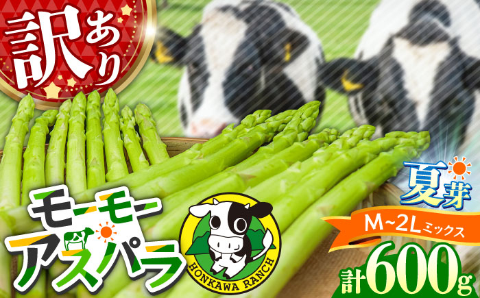 
            【訳あり/先行予約・25年6月以降発送】モーモーアスパラ夏芽 2L〜M 600g 味に全く問題なし！安く手頃に！3種食べ比べ 600g 日田市 / 有限会社本川牧場 [ARAI034]
          