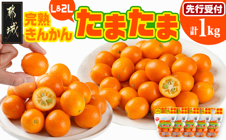 《先行受付!》 完熟きんかん「たまたまL&2L」 計1kg (スタンドパック入り)_AO-0104_(都城市) みやざきブランド 完熟きんかん たまたま Lサイズ 2Lサイズ スタンドパック