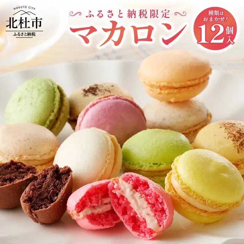 種類はおまかせ！ふるさと納税限定マカロン(12個入)  [h194]