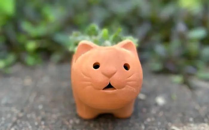 多肉植物 寄せ植え ねこ型 / 多肉植物 寄せ植え 鉢植え テラコッタ 埴輪カラー 園芸 ガーデニング 大阪府 / 大阪府藤井寺市/JamFlowerSalon [BLAW007]
