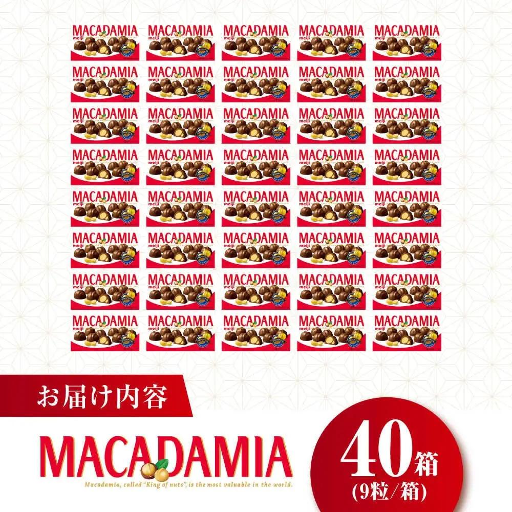 明治 マカダミアチョコレート 9粒×40箱[AOAA066]チョコ