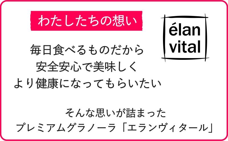 手作り グラノーラ 11個セット フルーツ ナッツ ココナッツ バナナ レーズン ベリー チョコ エランヴィタール ／ 朝食 白砂糖不使用 お中元 お歳暮 母の日 ギフト ／ 【雑穀・加工食品・お菓子