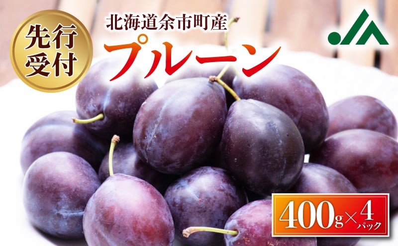 
            【2026年9月上旬発送分先行予約】プルーン 400g×4パック
          