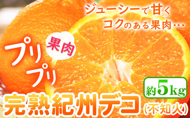 【先行予約】果肉プリプリ 完熟紀州デコ(不知火)  選べる 約5kg 果肉 デコ 魚鶴商店《2月下旬-3月中旬頃よりに発送予定》紀州デコ 和歌山県 日高町 贈り物 ギフト 不知火 デコポン と同品種(f)