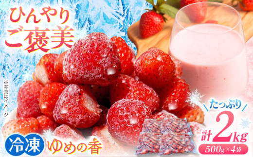 冷凍いちご 長崎県産 ゆめの香 たっぷり2キロ（500g×4袋） 長崎県/わたる農園 [42AABB008] いちご イチゴ 苺 フルーツ スムージー ヨーグルト ジャム フローズン 小分け 2kg