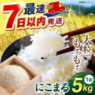 ふるさと納税 糸島市 【スピード発送】令和7年産 にこまる 玄米品質1等米 白米 5kg 糸島市産[AGR001]