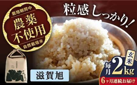 【令和6年度産】【全6回定期便】自然栽培米滋賀旭 　2kg玄米×6回　滋賀県長浜市/株式会社お米の家倉[AQCP045]