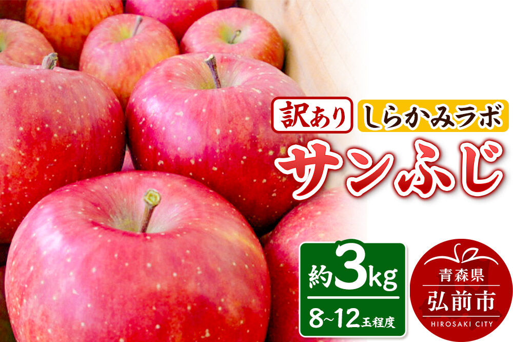 【26年12月中旬～発送】りんご サンふじ【訳あり】約3kg 先行受付 しらかみラボ 家庭用 青森県 弘前市 果物 フルーツ 林檎 リンゴ くだもの 不揃い 規格外 [先行予約 産地直送 アップル お