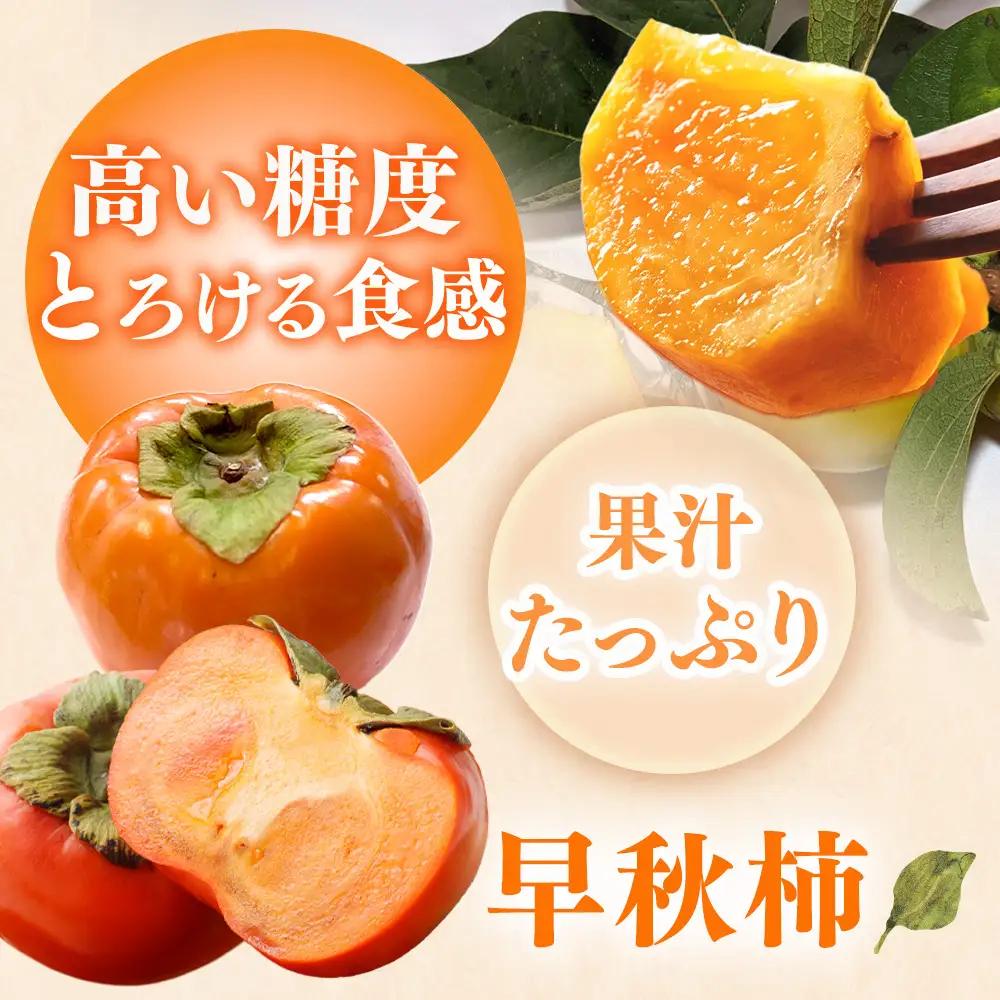 【先行予約】こだわり栽培ポット柿（早秋柿） 3Lサイズ9個入り ※離島への配送不可  ※2026年10月中旬～11月上旬頃に順次発送予定