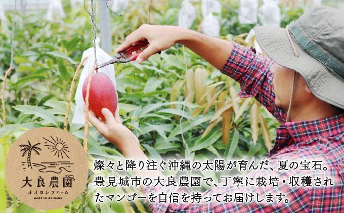 【2026年夏発送】【先行予約】プレミアム アップルマンゴー！2kg箱(4〜6玉)