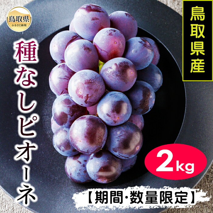 【ふるさと納税】B24-332 鳥取県産種なしピオーネぶどう　2kg【期間・数量限定】
