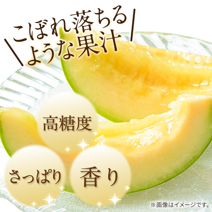 【2025年4月下旬～発送】【根強い人気!】 訳あり プリンスメロン 3箱セット（傷もの）/ メロン めろん フルーツ 果物 / 南島原市 / 南島原果物屋 [SCV023]_イメージ2