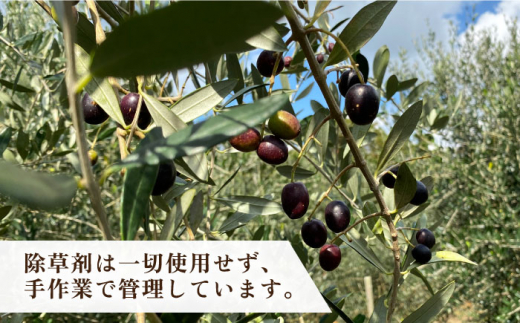 ikicael ハンドクリーム 50g 《壱岐市》【壱岐オリーブ園】 オリーブ オリーブオイル ギフト プチギフト 保湿 [JDU020] 11000 11000円 