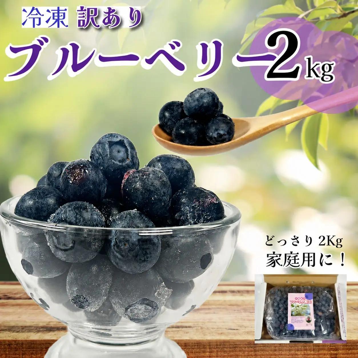 訳あり ブルーベリー 冷凍 2kg 大粒 冷凍ブルーベリー フルーツ 果物 徳島 小松島