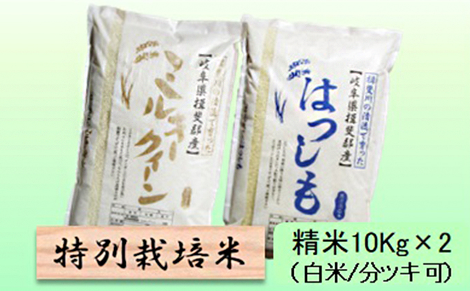 特別栽培米★精米20kg（白米/5分/7分ツキ可）【ミルキークイーン・ハツシモ】 玄米は別に出品